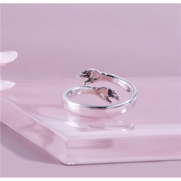 Come to My Arm 925 Sterling Silver Adjustable Hug Ring for Both Men and Women - Picture 5 of 7